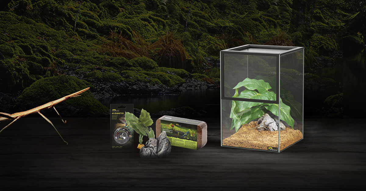 HYGROMETER :: Terratlantis terrarium - terrariums for reptiles